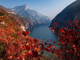 重庆11月份适合去哪里旅游(重庆11月有什么好玩的地方推荐)