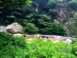 秦岭山(秦岭山龙脉是不是已经被破坏)