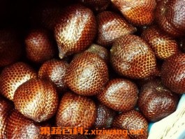 蛇皮果的营养价值(蛇皮果的营养价值与功效禁忌)