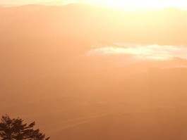 一个人旅行遇险(一个人旅行遇险视频)