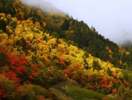 米亚罗旅游(米亚罗旅游住宿)