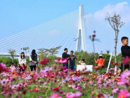 包含2023年春节珠海适合旅游吗的词条
