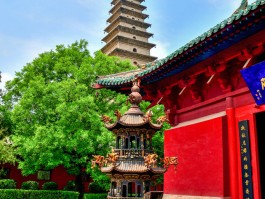 普救寺(普救寺求什么最灵验)