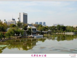天津长虹公园(天津长虹公园地址)