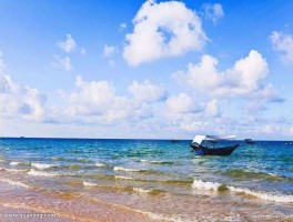3月国内旅行最值得去的十个地方是哪些(3月国内旅行最值得去的十个地方是哪些省)