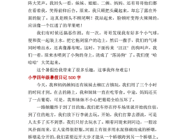 暑假旅游日记博客(暑假旅游日记400字作文)