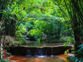 蜀南竹海旅游攻略(宜宾蜀南竹海旅游攻略)