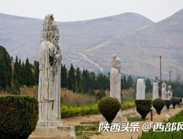 蒲城文物旅游局资讯网(蒲城文物旅游局资讯网官网)