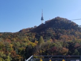 去首尔哪里旅游(去首尔哪里旅游最好)