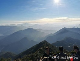梧桐山哪个入口上山最好(梧桐山哪个入口上山最好看日出)