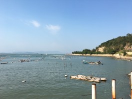 十一国庆一个人旅行慢生活(国庆假期适合一个人去的地方)