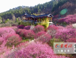 2023年十堰市旅游收入(2023年十堰市旅游收入多少)