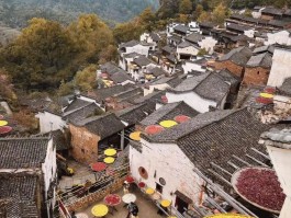 难忘的旅行井冈山日记(井冈山游记作文600字八年级)