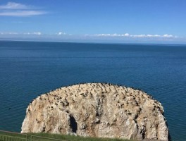 世界即将消失的美景介绍(世界即将消失的10个著名景点)