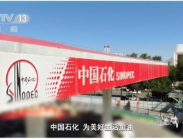 中石化企业愿景(中石化企业愿景是打造油气氢电服综合能源服务商)