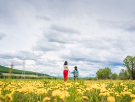 一个人一台车的旅行说说(一个人一辆车一条路唯美句子47条)