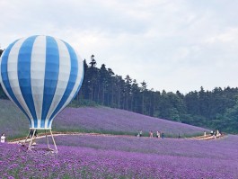 4月中旬去哪里旅游好(4月中旬去哪里旅游比较好)