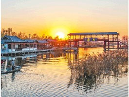 山东11月份去哪里旅游(11月山东旅游的最佳地方)
