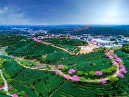 二月下旬适合去哪里旅游(二月底去哪里旅游)