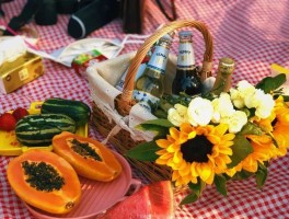四月去野餐吃什么好(四月份吃什么野菜)