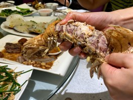 广东旅游哪里美食多(广东哪个地方美食多又好玩)