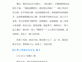 关于小学二年级出门旅游的日记的信息