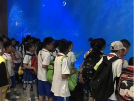 小学生旅游活动记录(小学生旅游活动记录内容)