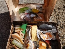 日本人吃什么野餐最好看(日本人吃什么野餐最好看的)