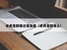 老虎是群居还是独居（老虎是群居么）