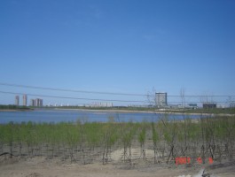 二龙湖(二龙湖浩哥之大战古惑仔)