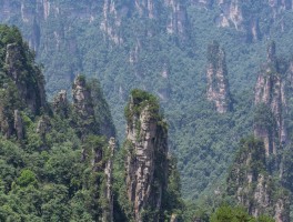 张家界旅游景点(张家界旅游景点攻略)
