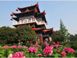 洛阳和西安哪个更值得去(13朝古都到底是西安还是洛阳)