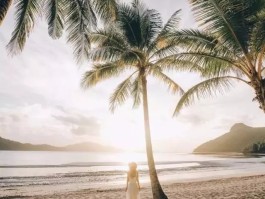 旅行拍照有哪些技巧(旅行拍照有哪些技巧呢)