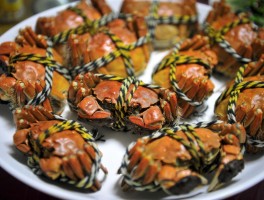 秋分吃什么食物(秋分吃什么食物最补水)
