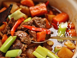 牛腩的做法(牛腩的做法和配料)