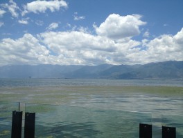 重庆到双廊旅游资讯(重庆到双廊旅游资讯电话)