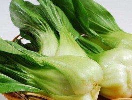 青菜的营养价值(青菜的营养价值表)