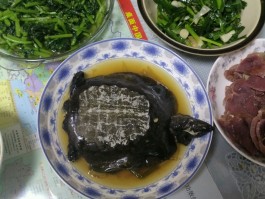 甲鱼的做法(甲鱼的做法及食用方法视频)