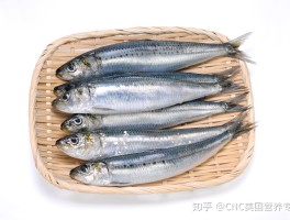 什么食物含维生素d多(哪些食物含维生素d最丰富)