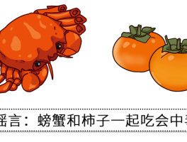 螃蟹相克的食物(螃蟹相克的食物有哪些食物)