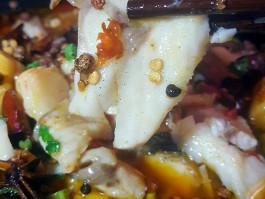 水煮鱼的做法视频的简单介绍