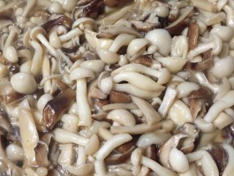 炒蘑菇的做法(牛肉炒蘑菇的做法)