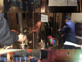 海州娱乐场所最新复工通告消息公布的简单介绍
