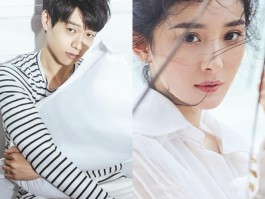 娱乐明星婚恋消息大全(娱乐明星婚恋消息大全最新)
