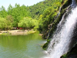 亭林园旅游资讯网(亭林园旅游资讯网官网)