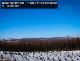 旅行社和自驾游哪个好(旅行团和自驾游的优缺点)