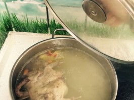 鸽子汤的做法(鸽子汤的做法与步骤)