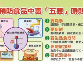 食物中毒怎么办(感觉有点食物中毒怎么办)