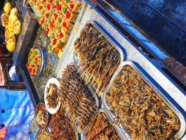 丽江各地美食技术培训批发(丽江各地美食技术培训批发市场在哪)