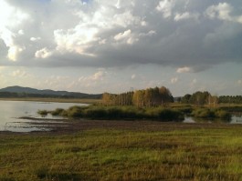 太仆寺旗旅游资讯平台(内蒙古太仆寺旗旅游景点)